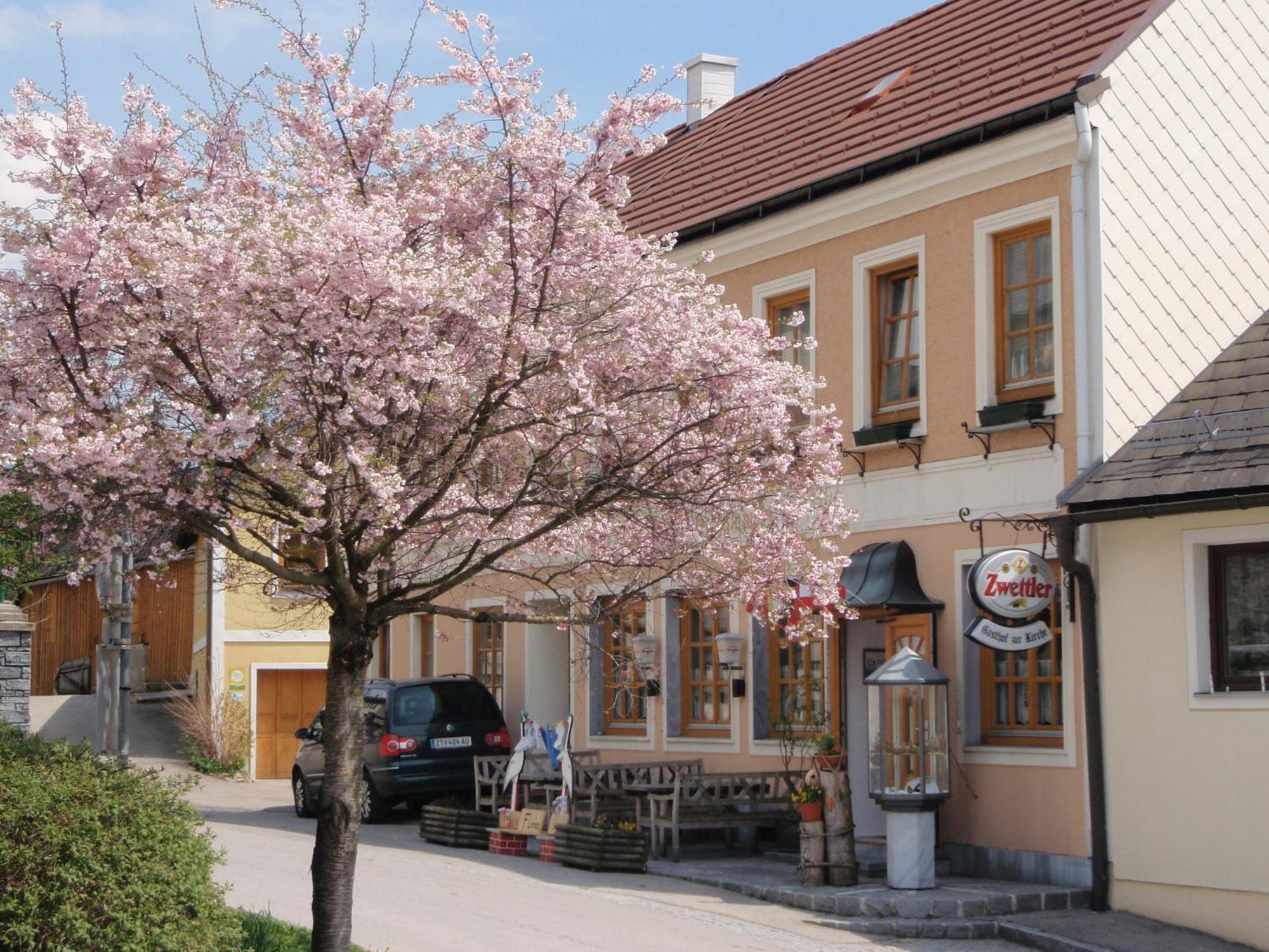 Gasthof Zur Kirche Hotel Kottes Eksteriør billede